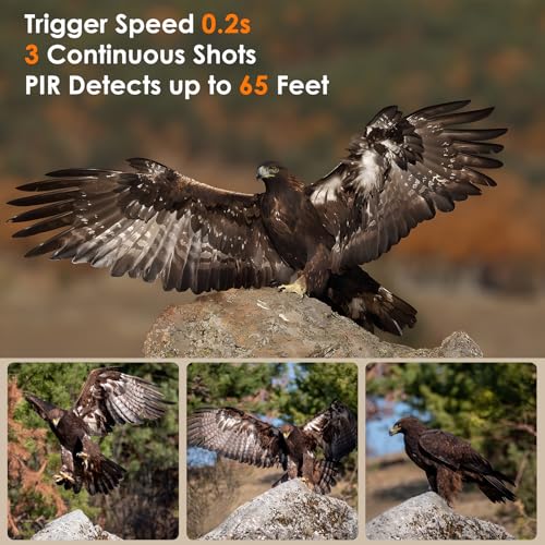 MAXDONE Wildkamera mit Bewegungsmelder Nachtsicht 4K Wildkamera Testsieger Jagd 0,1s Auslöser Wildtierkamera 120° Erfassungswinkel Infrarot Nachtsichtkamera Outdoor Testsieger IP66 Wasserdicht