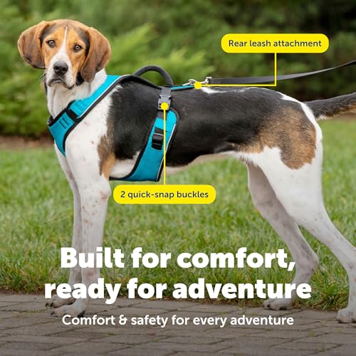 Image of PetSafe EasySport Harness - Padded Shoulder Straps - Fully Adjustable with Elastic Neckline - Ideal for Sport Dogs - Top Handle for Quick Control (Large, Teal Blue)