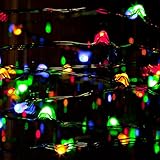 EQUINOX 2 39188 9' Multi BO LED LGT Set