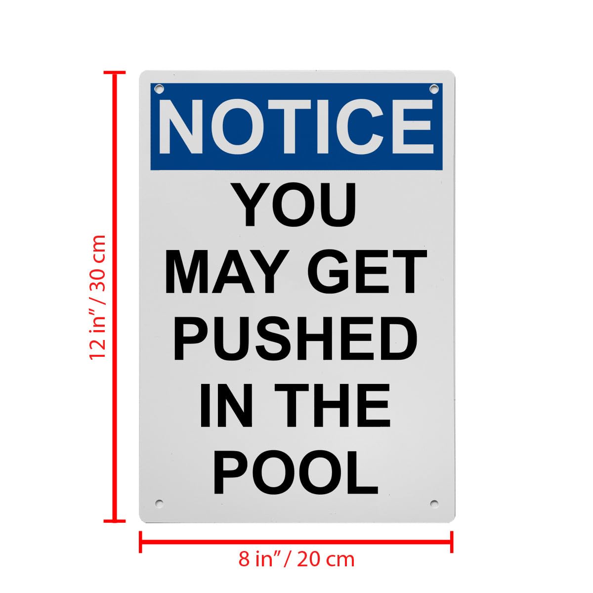 OSHA Warning You May Get Pushed In The Pool Sign, 8.5 x 11 in