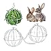 Heiqlay Bolas Heno, Bola Comedero Conejo Dispensador de Heno Dispensador de Alimentos de Acero Inoxidable con Gancho para Colgar para Conejos, cobayas, hámsteres, Animales pequeños (3 piezas, 8 cm)