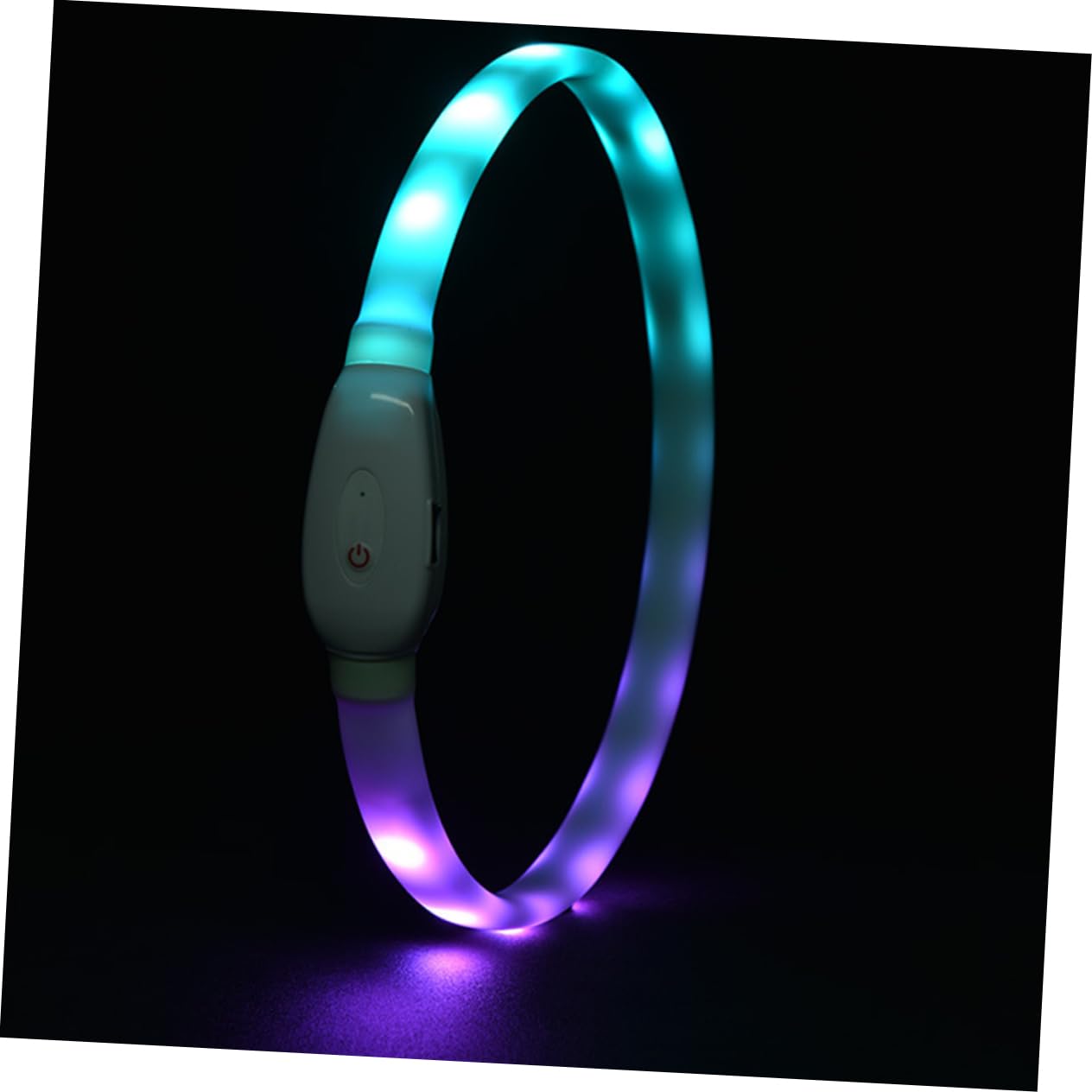 Housoutil Lot De 2 Colliers LED pour Chien 55 Cm Chargement Sécurité Nocturne Confortable