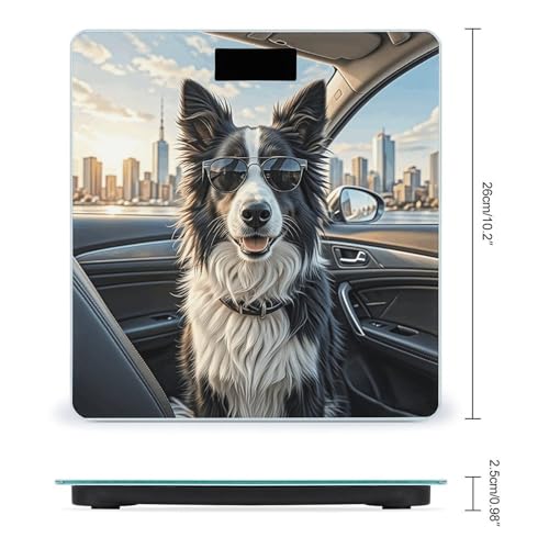 Báscula digital de baño perro Border Collie con pantalla LCD miniatura 2