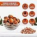 Presto Sales Filberts Hazelnuts Fresh off the tree Raw In Shell, Oregon, USA, fun to crack - 160 oz. (10 lbs.) Convenient Bag in a Box