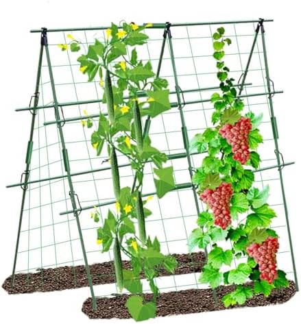Best Trellis for Sweet Peas: What You Never Knew You Needed 8 Cucumber Trellis for Garden,Trellis for Climbing Plants Outdoor,Tomatoplant Support,Squash/Zucchini/Sweet Pea Trellis,Green Bean/Grape/flowerplant