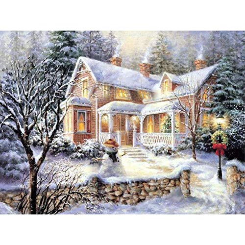 5D Diamond Painting Kits for Adults, Kids. Office Decoration, Room, Home, Gift for Her Him Christmas Snow Scene 15.7x11.8in 1 Pack by Fairtie¡