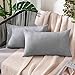 MIULEE Funda Cojines Exterior Impermeable de Lino Fundas de Almohadas Suave de Sofá Almohadas Decorativas para Salón Cama Silla Habitacion Oficina Dormitorio Lumbar 30x50 cm 2 Piezas Gris Claro