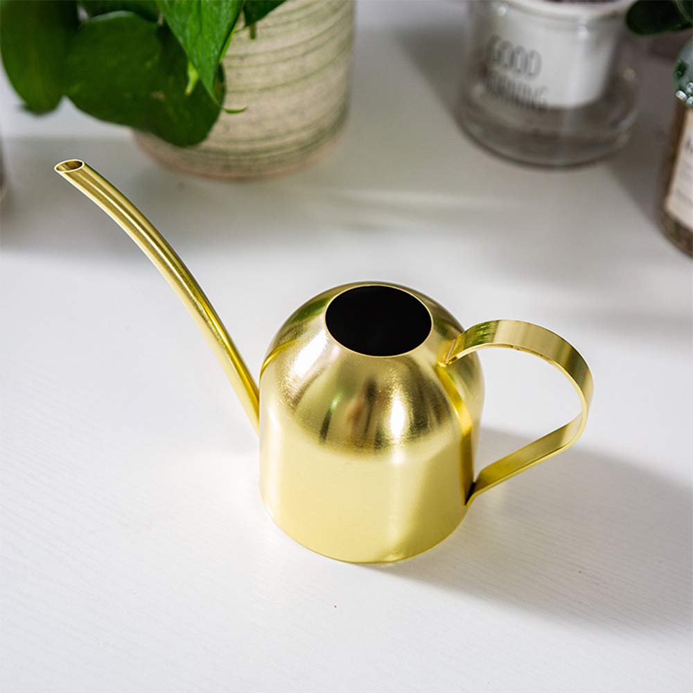 Regadera De Acero Inoxidable 500 Ml Con Boquilla Larga - Para Plantas De Interior, Suculentas, Bonsáis Y Jardín Pequeño