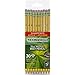Dixon Ticonderoga Pre-Sharpened with Erasers Pencils, 2, Yellow, Box of 120 (13830