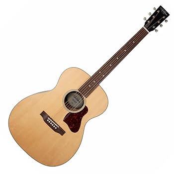 Art＆ Lutherie A&L Cedar 使用感あり リアル レリック風 Amazon.com: Art & Lutherie 6 String Acoustic-Electric Guitar