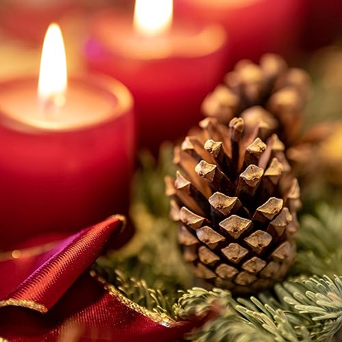 GARDIGO® Kiefernzapfen - ca. 80 Stück | Füllmaterial für Insektenhotel | Tannenzapfen zum Basteln von Weihnachtsdeko Herbstdeko | Christbaumschmuck Adventskranz Deko | Bastelmaterial Bastelbedarf