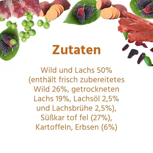 Wildfang® Hundefutter - Trocken - Getreidefreies Hundefutter - Premium Trockenfutter (2 kg, Wild mit Süßkartoffel mit Maulbeere)