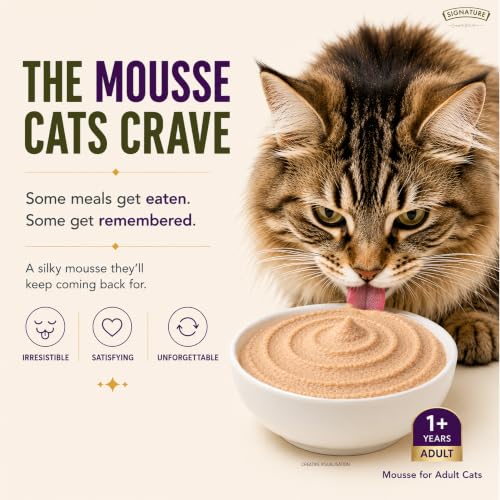Image of Grain Zero Adult Cat Wet Mousse 80g Pack of 5, (400g) | Ocean Fish | Rich in Protein | Promotes Hydration & Easy to Digest | No Artificial Flavours | Packed with Essential Vitamins & Antioxidants