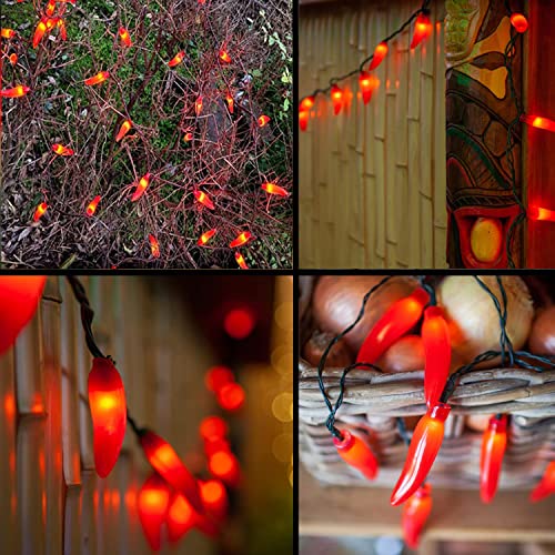 Image of Chili Pepper String Lights Plug in, 13.6Ft 35 LED Red Chili Pepper Christmas Lights, Connectable Chili Lights UL Listed for Outdoor Indoor Kitchen Garden Fiesta Patio Mexican Party Decor, Green Wire