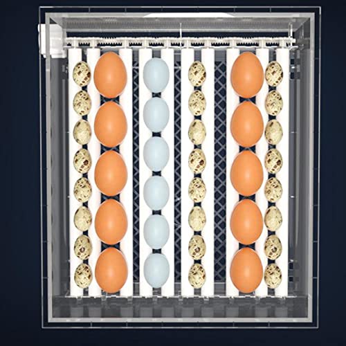 MagiDeal Vollautomatische Eierbrutmaschine Hatcher Geflügel Temperaturregelung Brutmaschine für Hühnergänse – Bild 8