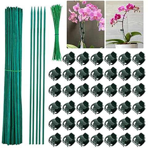 220Pcs Orchid Stakes and Clips Set, 40Pcs Plastic Garden Orchid Clips + 80Pcs Bamboo Plant Stakes + 100Pcs Twist Flexible Garden Plant Ties for Supporting Stems Vines Stalks Grow Upright Cover