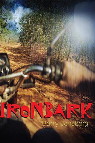 Ironbark view 2