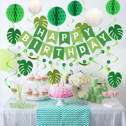 meowtastic Green Birthday Decorations - Green Happy Birthday Banner with Honeycomb Balls, Palm Leaves Hanging Swirl Streamers, Circle Dot Garland Decorations - Birthday Party Decoration for Boy Girl - Image 6