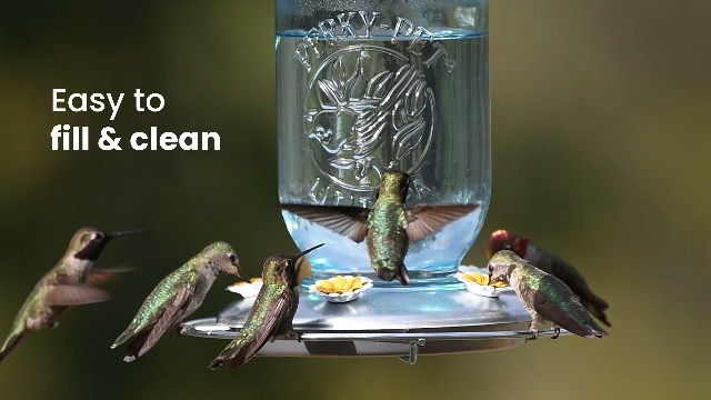  ハミングバードの置き時計 Amazon.com : Perky-Pet Mason Jar Vintage Style Glass Hummingbird