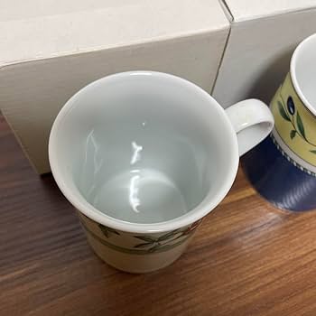 フッチェンロイター　食器　カップ2個　皿2枚　純正化粧箱付き フッチェンロイター 食器 カップ2個 皿2枚 純正化粧箱付き