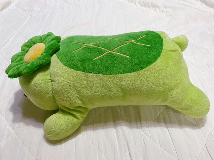 Amazon.co.jp: Friccaフリッカ まつもと かっぱ ぬいぐるみ : おもちゃ