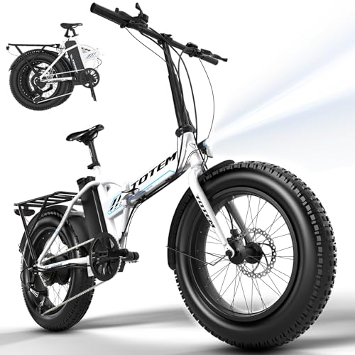 Fat Tire Folding Electric Bike for Adults-Foldable E-Bike Fat Tire 20 inchx4.0-Max 40 Miles 20Mph-Peak 750W Brushless Motor-Commuter Bicycle for Women