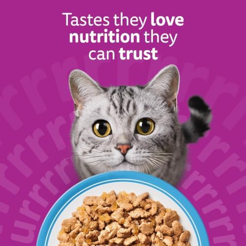 WHISKAS Adult Wet Cat Food in Jelly 40x85g Fish Favourites | 100% complete nutrition, with SALMON, WHITEFISH, TUNA & COD, For adult cats, healthy digestion, Easy-to-open pouches - View 8