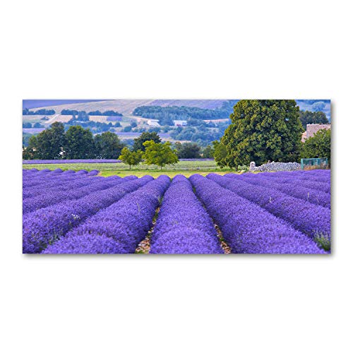 Dosseret en verre 120x60 cm violet motif champ de lavande