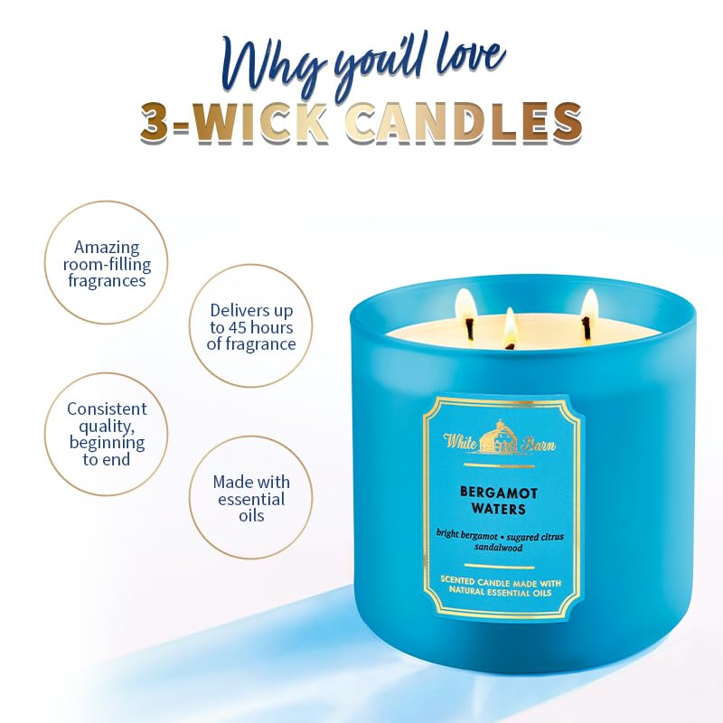 Bath & Body Works Into the Night Single Wick Candle : Amazon
