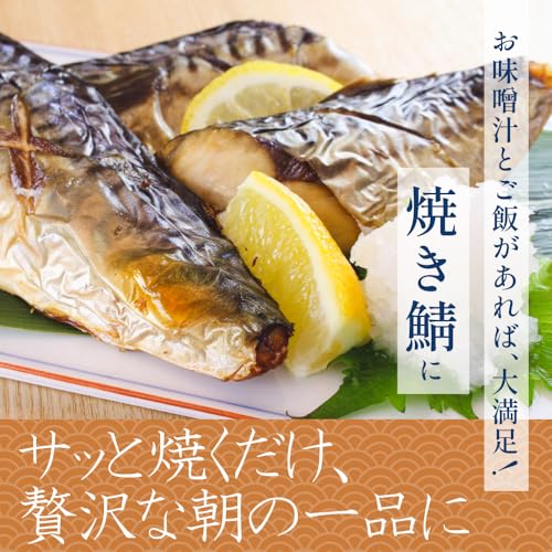 築地 中島水産 訳あり 冷凍 鯖 サバフィーレ 切り身 1.5kg の商品画像 6