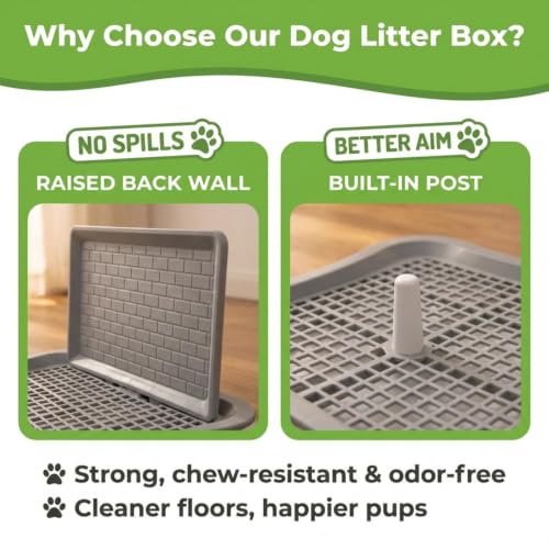 Image of MAK7 Pets Dog Potty Tray for Indoor Training | Puppy Toilet Tray with Mesh Grid | Leakproof Pee Pad Holder | Anti-Slip Pet Training Tray | Small+ (50cm x38 cm)| Splach Wall Style|