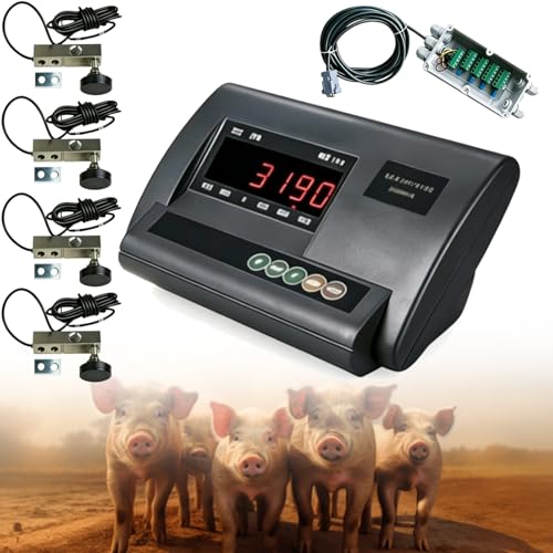 Balance pour bétail 5000kg haute précision avec 4 capteurs de charge et écran rétroéclairé