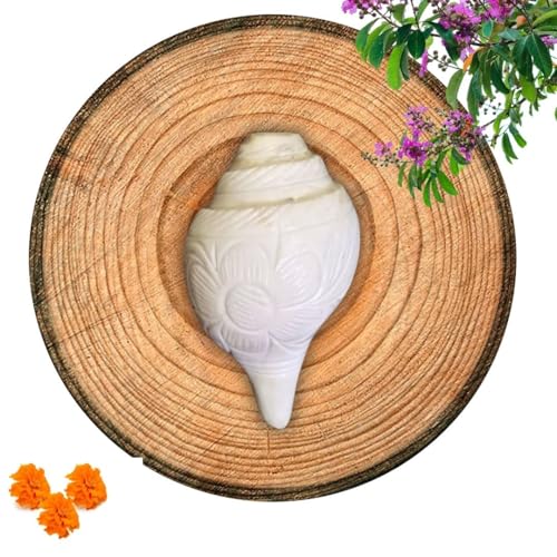 Image of Vamavarti Original Loud Blowing Shankh,Conch For Pooja - 6 to 6.5 Inch (Quality Matters) Quality assured by Om Gange Weight 300 to 450 gms +- 20 Gms (As this is Natural)