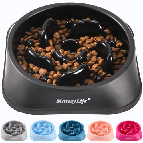 Stop Doggie Speed Eating! Top 10 Slow Eating Bowls for Healthy Pup Chow ... - Dialogue Imposed Folder Eating Slow Eating Bowls For Dogs With Digestive Issues