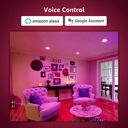 Led Flood Light Bulbs, Wifi Smart Br30 E26 Bulb, Rgbw Color Changing Lights, Works With Alexa & Google Assistant, Dimmable Recessed Can Light Bulbs, 8W=65W, 700 Lumens, 2 Packs #TOP1