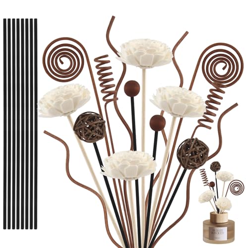 GZGXKJ Baton Diffuseur de Parfum 26 Pièces Batonnets Diffuseur Parfum Recharge Batonnet en Bois Diffuseurs pour Une Utilisation dans Les Maisons Bureaux...