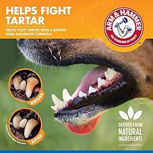 Arm & Hammer for Pets Dental Water Additive for Dogs, Tartar Control | Dog Dental Care Reduces Plaque & Tartar Buildup Without Brushing | 16 Ounces - 24 Pack, Odorless and Flavorless Arm Hammer for Pets Dental Water Additive for Dogs Tartar Control Dog Dental Care Reduces Plaque Tartar Buildup Without Brushing 16 Ounces 24 Pack Odorless and Flavorless