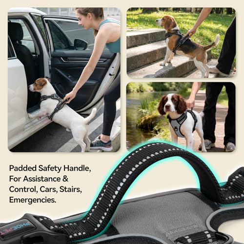 PHOEPET No Pull Dog Harness Medium Reflective Front Clip Vest with Handle, Adjustable 2 Metal Rings 2 Buckles(M, Grey) - Image 5