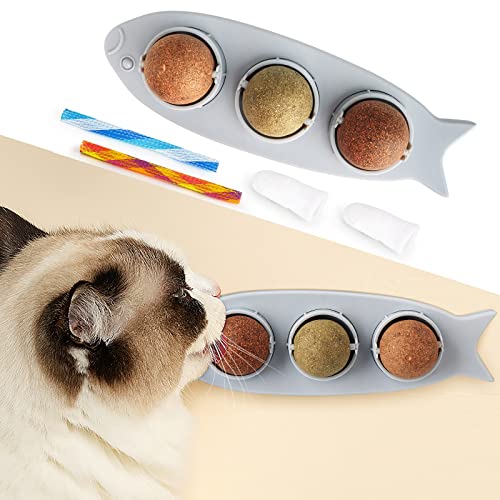 MOMSIV Katzenminze Balls für Katzen, Wandroller Drehbare Dentales Essbares Kauspielzeug mit Hunden Haustiere Fingern Katzenlecken Zahnreinigung und Kitty Spring Interaktives Katzenspielzeug, Grau Cover
