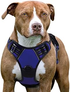 Eagloo Dog Harness No Pull, Walking Pet Harness with 2 Metal Rings
