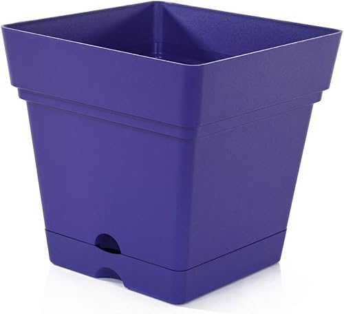 Miniatura 29 de Mintra - Macetas de plástico para plantas, maceta cuadrada para plantas de interior y exterior, macetas de jardín con platillos y agujeros de verde