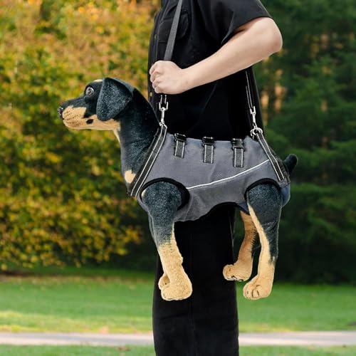 Fenteer Arnês de elevação para cães, colete de caminhada, arnês de elevação para cães idosos, lesões