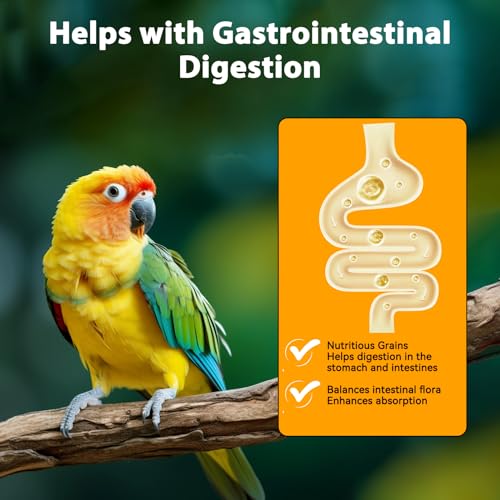 Nobleza Wellensittichfutter 500g, Vogelfutter für Wildvögel & Sittiche mit Früchten wie Papaya & Banane, Ausgewogenes Einzelfuttermittel für Ganzjährige Fütterung, Staubarm & Vitaminreich