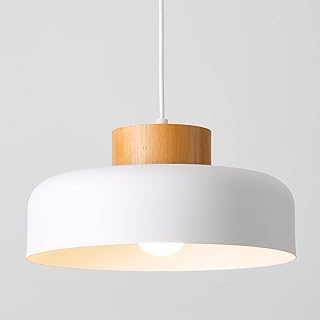 Modern Pendant Lights Kitchen Island, 12.6 inch,Natural...