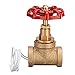 Produktbild KingLan Vintage Steampunk 1/2 inch Rot Griff Ventil Licht Schalter Mit Draht Für Wasserrohr Lampe
