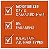 Nexxus-Scalp-Inergy-Leave-in-Conditioner-For-Damaged-Hair-Deep-Conditioner-Paraben-Free-33-oz Nexxus Scalp Inergy Leave-in Conditioner For Damaged Hair, Deep Conditioner, Paraben-Free 3.3 oz