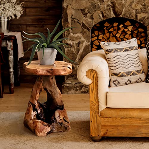 Warmaxx WARMPLANTST Natural Irregular Shape Tree Stump End Table Plant Stand 14"X13"X18"H Solid Cedar Wood Outdoor Rustic Sit Foot Stools Live Edge Coffee Side Table Living Room Bedroom Outdoor Garden thumb #4