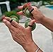 2 Pairs Brass Floral Finger Cymbals Zills for Belly Dancing (Green)