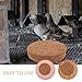FRCOLOR 10pcs Natural Coconut Fiber Nesting Pads for Small Animals Pigeons Chicken Coop Bird Nest Cushions Comfortable Egg Protection Soft Bedding for Bird Cages