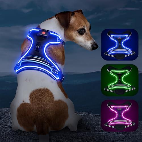 Image of Light Up Dog Harness, Rechargeable LED Dog Vest for Night Walking